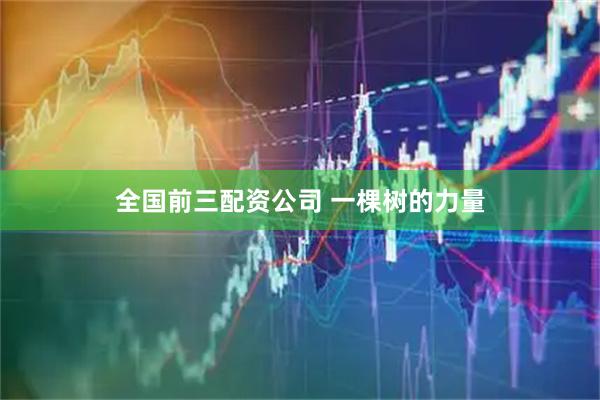 全国前三配资公司 一棵树的力量
