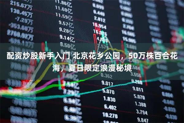 配资炒股新手入门 北京花乡公园，50万株百合花海，夏日限定浪漫秘境