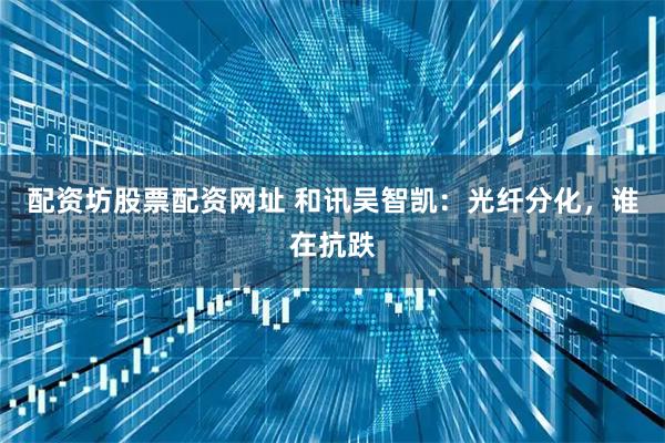 配资坊股票配资网址 和讯吴智凯：光纤分化，谁在抗跌